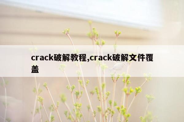 crack破解教程,crack破解文件覆盖