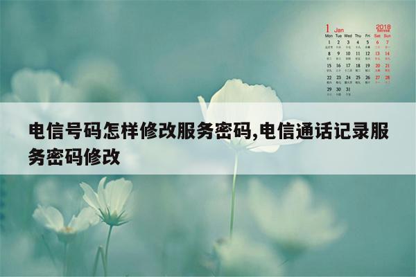 电信号码怎样修改服务密码,电信通话记录服务密码修改