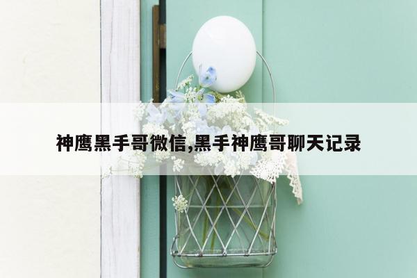 神鹰黑手哥微信,黑手神鹰哥聊天记录