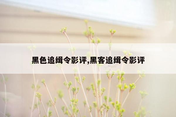 黑色追缉令影评,黑客追缉令影评