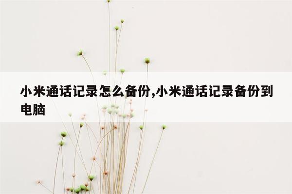 小米通话记录怎么备份,小米通话记录备份到电脑