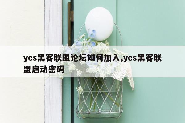 yes黑客联盟论坛如何加入,yes黑客联盟启动密码