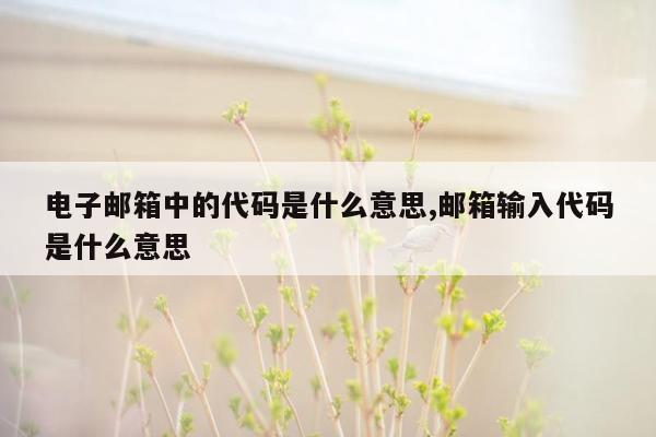 电子邮箱中的代码是什么意思,邮箱输入代码是什么意思