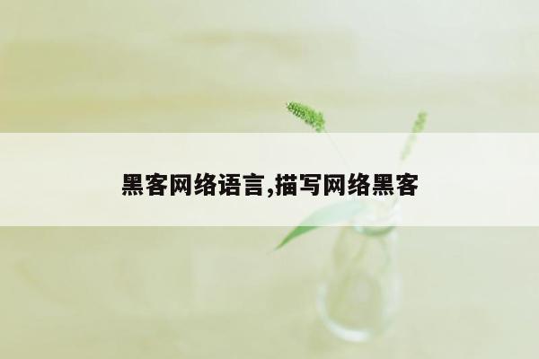 黑客网络语言,描写网络黑客