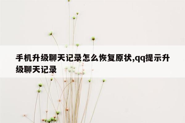 手机升级聊天记录怎么恢复原状,qq提示升级聊天记录