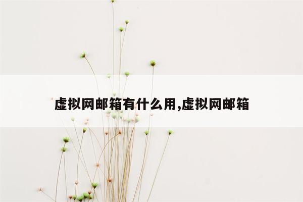 虚拟网邮箱有什么用,虚拟网邮箱