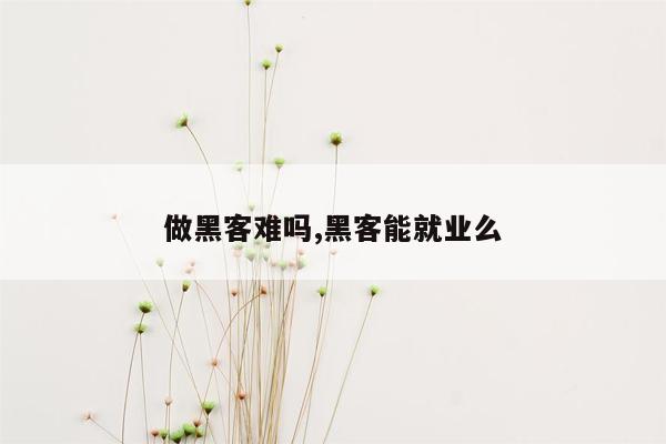 做黑客难吗,黑客能就业么