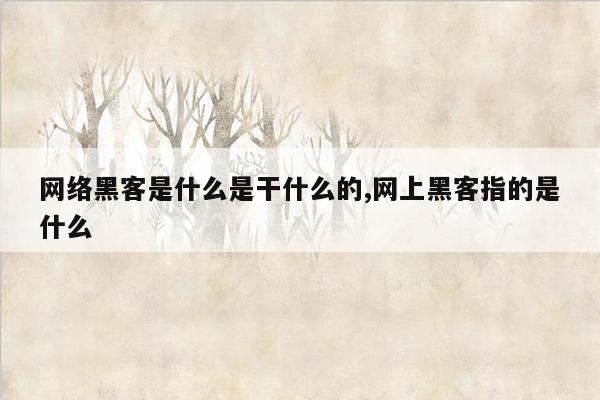 网络黑客是什么是干什么的,网上黑客指的是什么