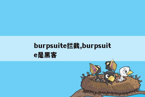burpsuite拦截,burpsuite是黑客