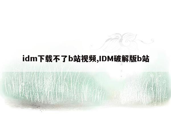 idm下载不了b站视频,IDM破解版b站