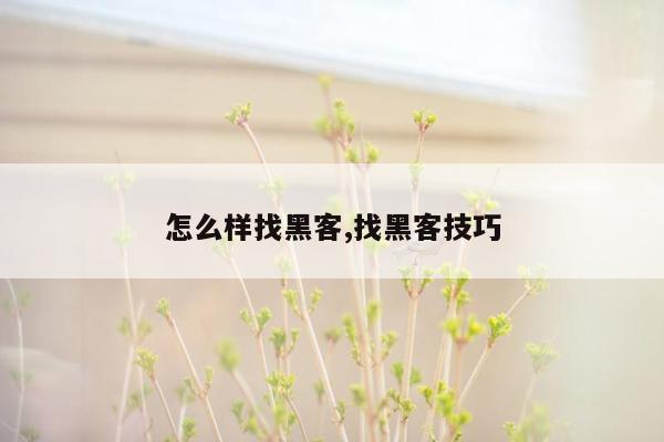 怎么样找黑客,找黑客技巧