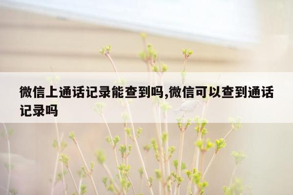 微信上通话记录能查到吗,微信可以查到通话记录吗