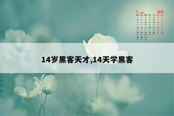 14岁黑客天才,14天学黑客