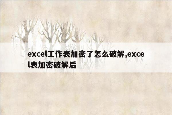 excel工作表加密了怎么破解,excel表加密破解后