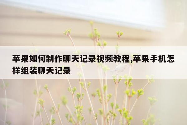 苹果如何制作聊天记录视频教程,苹果手机怎样组装聊天记录