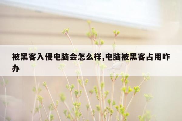 被黑客入侵电脑会怎么样,电脑被黑客占用咋办