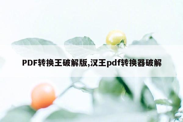 PDF转换王破解版,汉王pdf转换器破解