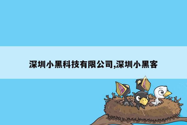 深圳小黑科技有限公司,深圳小黑客