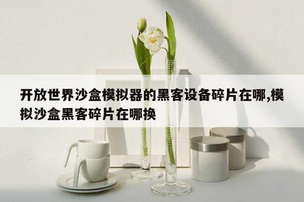 开放世界沙盒模拟器的黑客设备碎片在哪,模拟沙盒黑客碎片在哪换