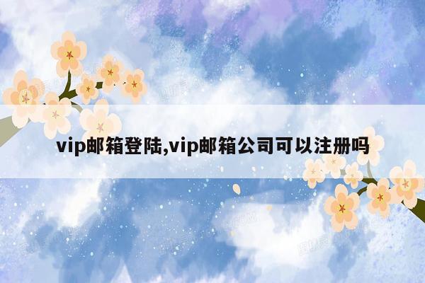 vip邮箱登陆,vip邮箱公司可以注册吗