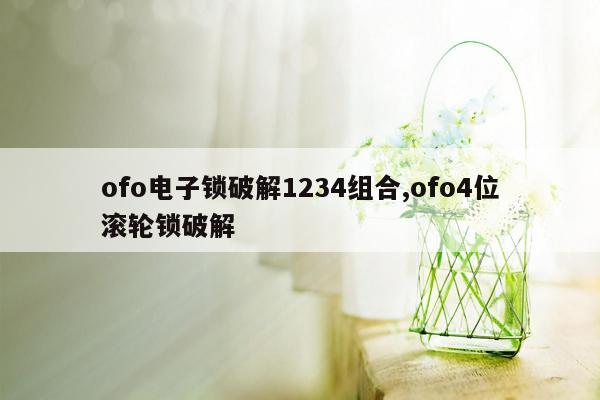 ofo电子锁破解1234组合,ofo4位滚轮锁破解