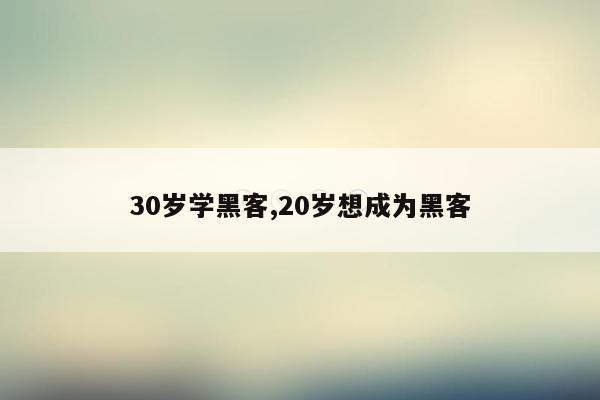 30岁学黑客,20岁想成为黑客