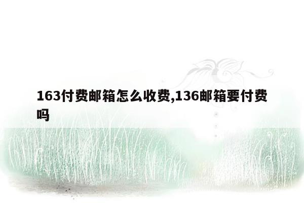 163付费邮箱怎么收费,136邮箱要付费吗