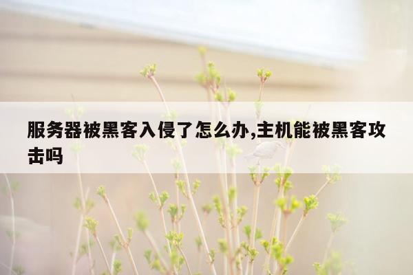 服务器被黑客入侵了怎么办,主机能被黑客攻击吗