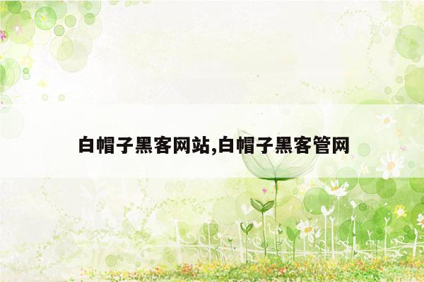 白帽子黑客网站,白帽子黑客管网