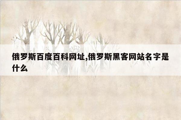 俄罗斯百度百科网址,俄罗斯黑客网站名字是什么