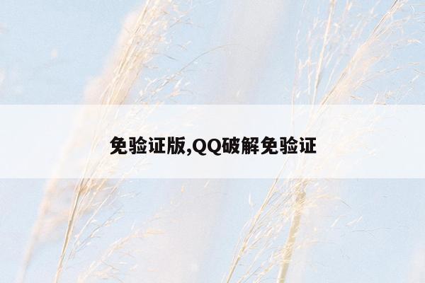 免验证版,QQ破解免验证