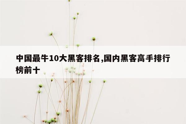 中国最牛10大黑客排名,国内黑客高手排行榜前十