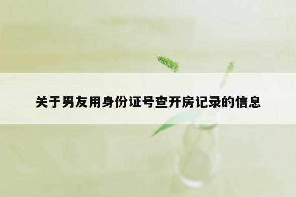 关于男友用身份证号查开房记录的信息