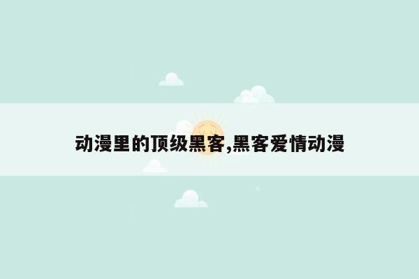 动漫里的顶级黑客,黑客爱情动漫