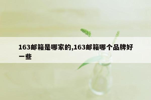 163邮箱是哪家的,163邮箱哪个品牌好一些