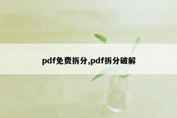 pdf免费拆分,pdf拆分破解