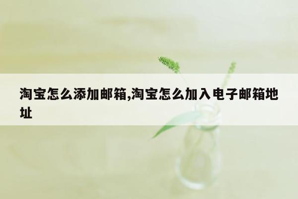 淘宝怎么添加邮箱,淘宝怎么加入电子邮箱地址