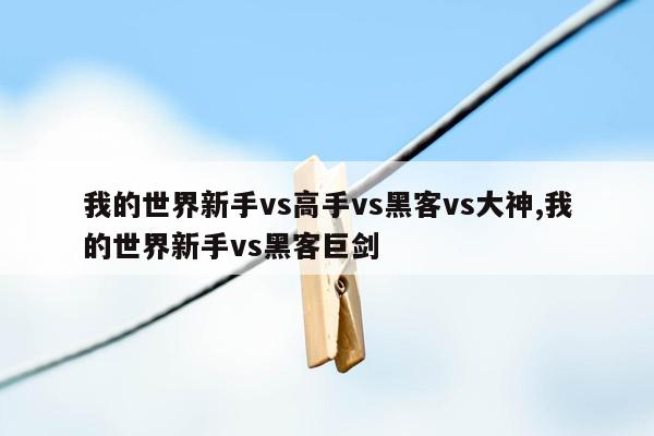 我的世界新手vs高手vs黑客vs大神,我的世界新手vs黑客巨剑