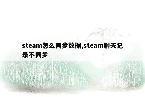 steam怎么同步数据,steam聊天记录不同步