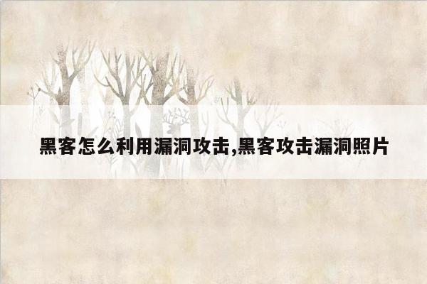 黑客怎么利用漏洞攻击,黑客攻击漏洞照片