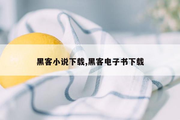 黑客小说下载,黑客电子书下载