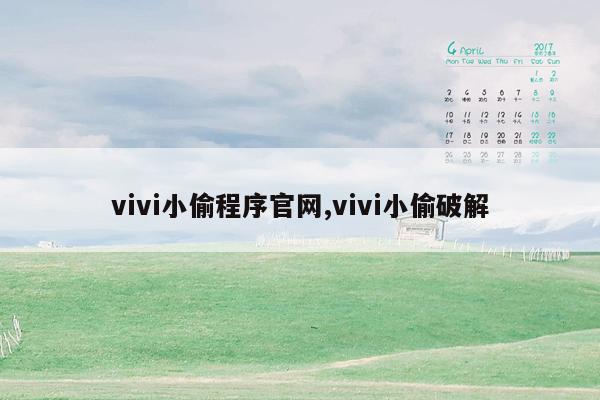 vivi小偷程序官网,vivi小偷破解