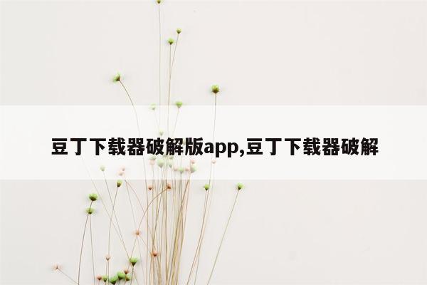 豆丁下载器破解版app,豆丁下载器破解