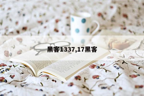 黑客1337,17黑客