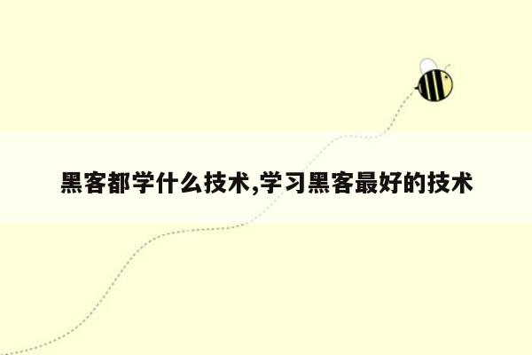 黑客都学什么技术,学习黑客最好的技术