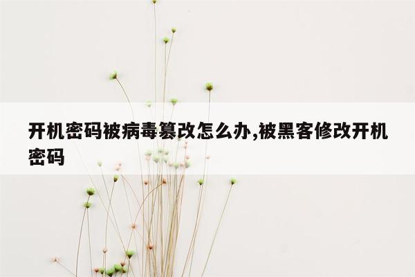 开机密码被病毒篡改怎么办,被黑客修改开机密码