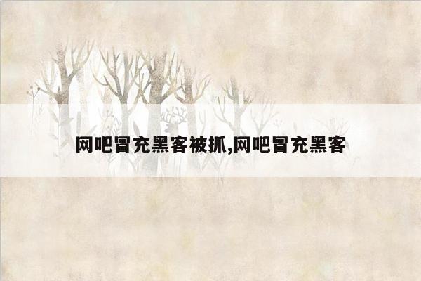 网吧冒充黑客被抓,网吧冒充黑客