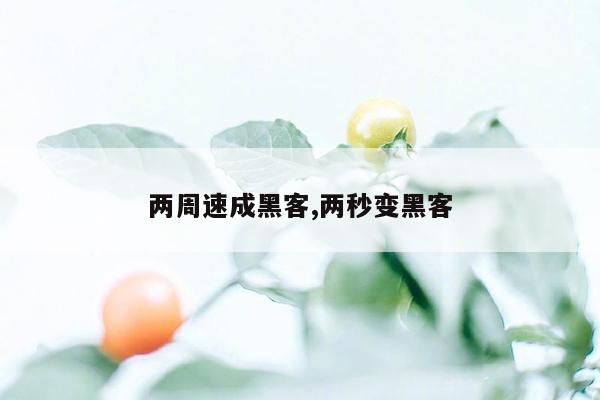 两周速成黑客,两秒变黑客