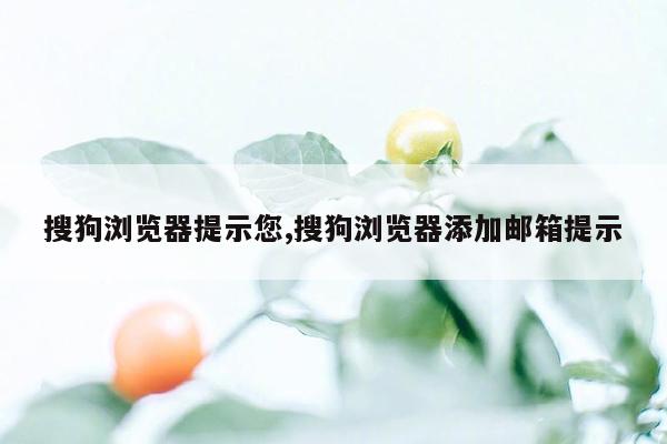 搜狗浏览器提示您,搜狗浏览器添加邮箱提示