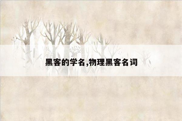黑客的学名,物理黑客名词